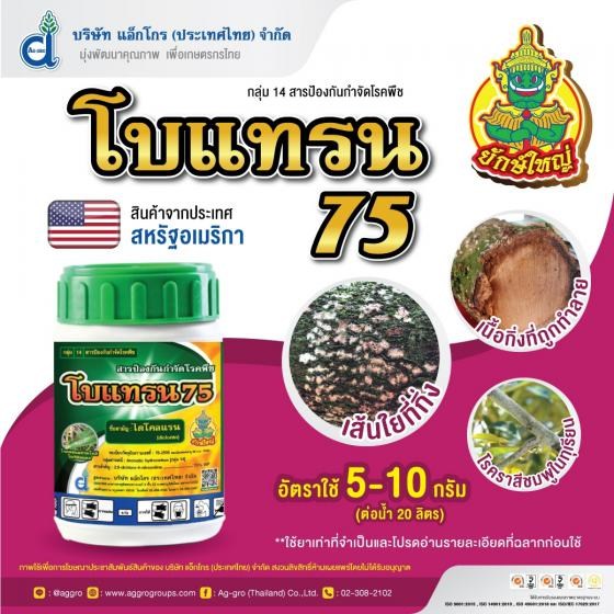 โบแทรน 75